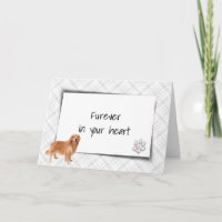Golden Retriever On Plaid Pet Loss Sympathy