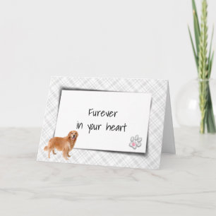 Golden Retriever On Plaid Pet Loss Sympathy Card
