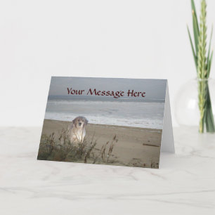 Golden Retriever On The Beach Greeting Card