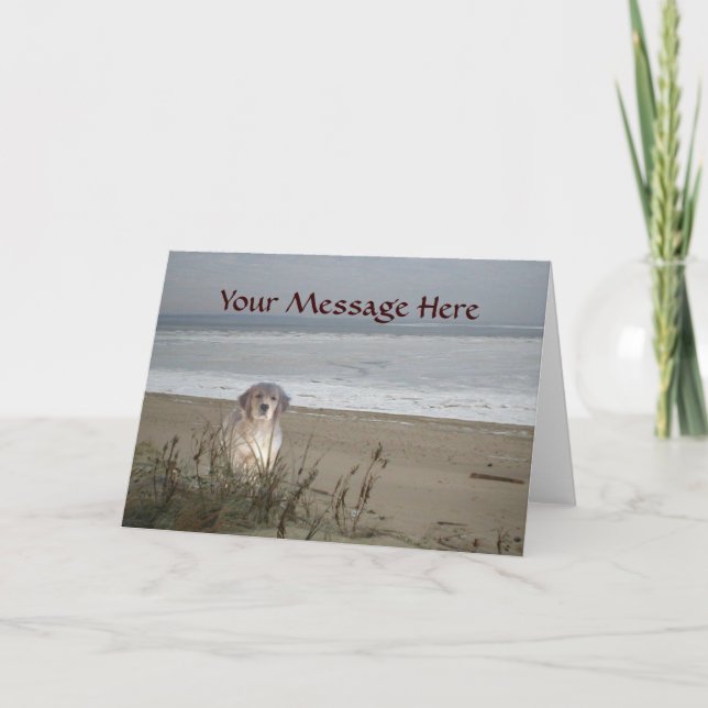 Golden Retriever On The Beach Greeting Card (Front)