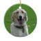 Golden Retriever Ornament