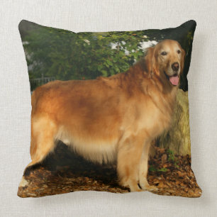 Golden Retriever Panting Cushion
