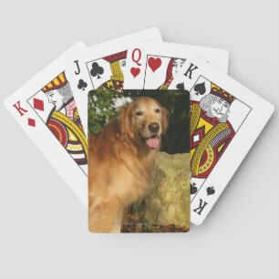 Golden Retriever Panting Playing Cards
