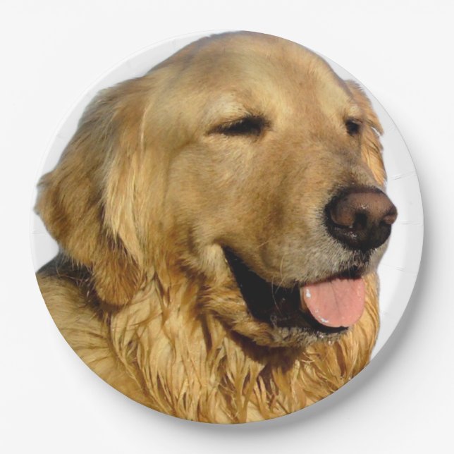 Golden Retriever paper plates (Front)