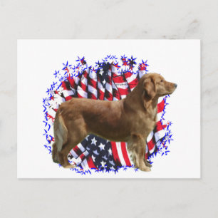 Golden Retriever Patriot Postcard