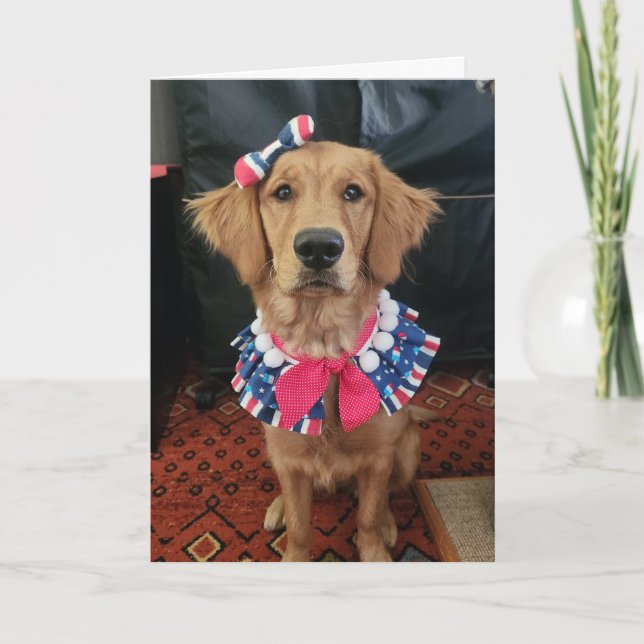 Golden Retriever patriotic, 4th of July greetings Thank You Card (Front)