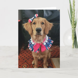 Golden Retriever patriotic, 4th of July greetings Thank You Card