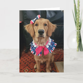 Golden Retriever patriotic, 4th of July greetings Thank You Card