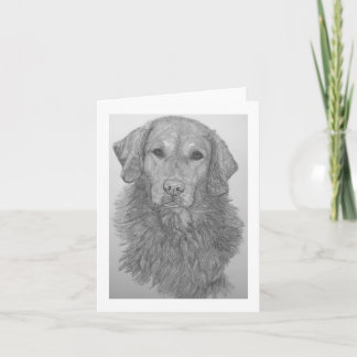 Golden Retriever Pencil Art Notecard