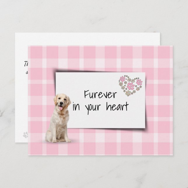 Golden Retriever Pet Sympathy Loss Postcard (Front/Back)