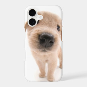 Golden Retriever Phone Case