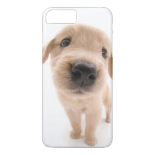 Golden Retriever Phone Case