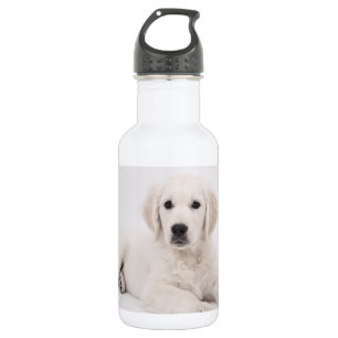 Golden Retriever Photo 532 Ml Water Bottle