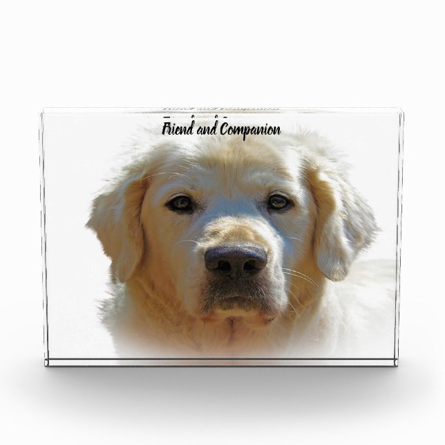 Golden Retriever. Photo Block (Front)