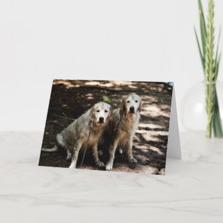 Golden Retriever Photo Card