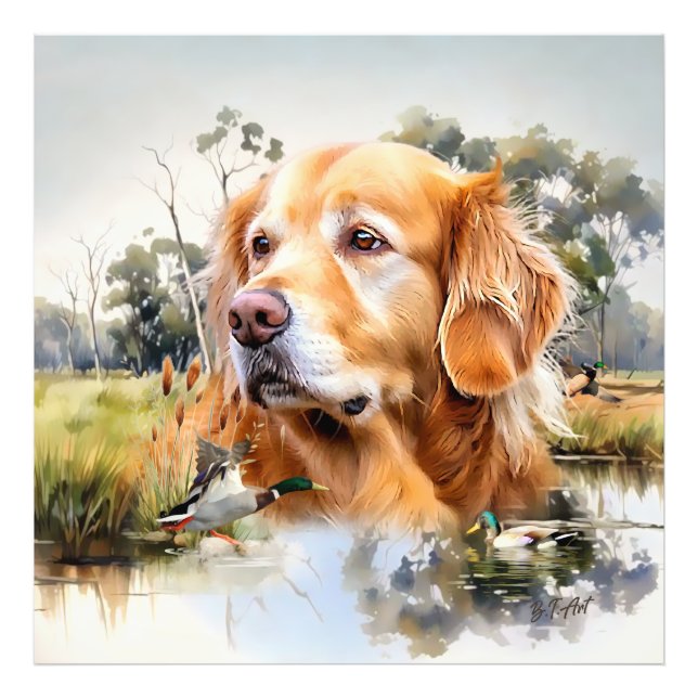 Golden Retriever Photo Print (Front)