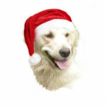 Golden Retriever Photo Sculpture Decoration<br><div class="desc">This acrylic Christmas ornament of a golden retriever dog comes with a red ribbon for hanging. Final size is approximate and depends on cut-out size of image.</div>