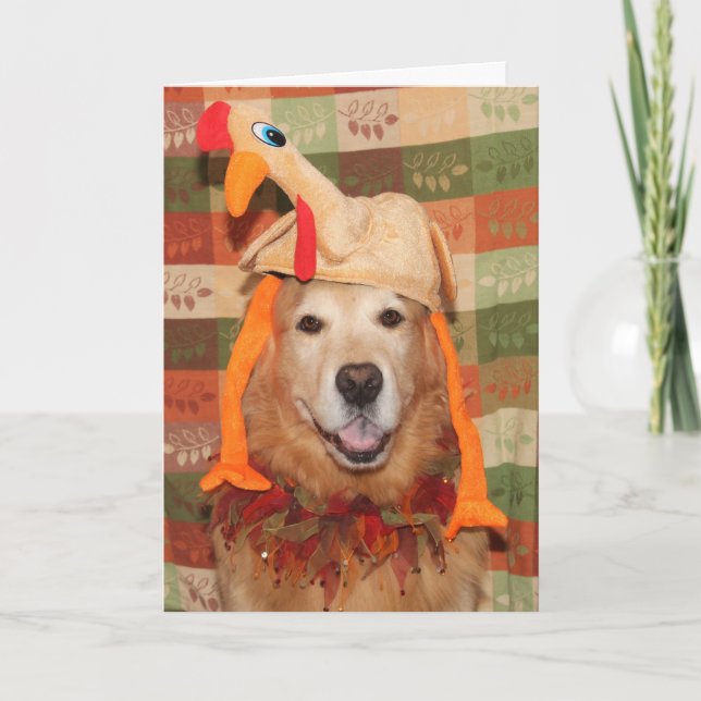 Golden Retriever Plucking Perfect Thanksgiving Card (Front)