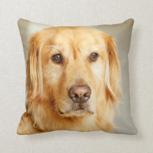 Golden Retriever Portrait Cushion