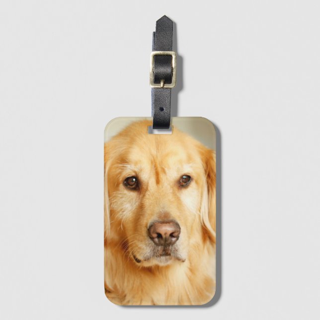 Golden Retriever Portrait Luggage Tag (Front Vertical)