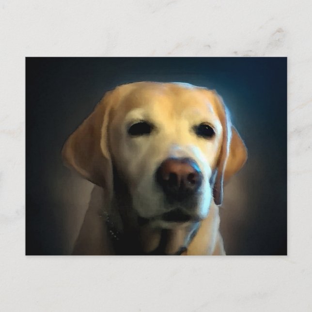 Golden Retriever Portrait Postcard (Front)