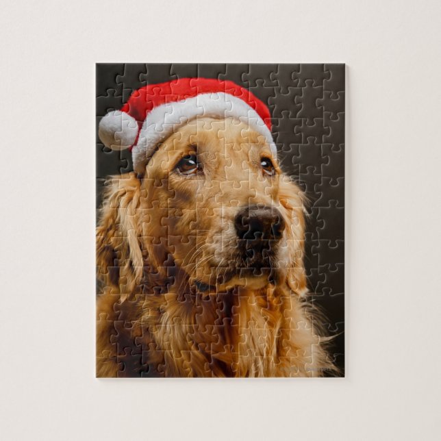 Golden Retriever posing for his Christmas Jigsaw Puzzle (Vertical)