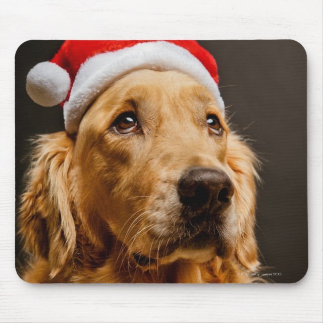 Golden Retriever posing for his Christmas Mouse Pad (Front)