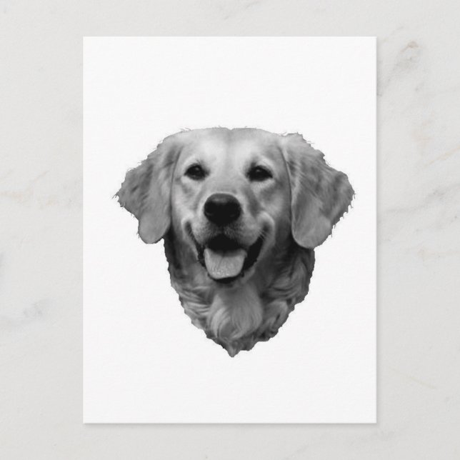 Golden Retriever Postcard (Front)