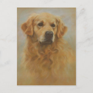 Golden Retriever Postcard