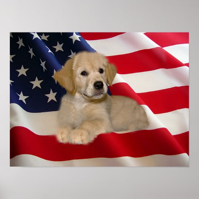 Golden Retriever Poster All American Puppy (Front)