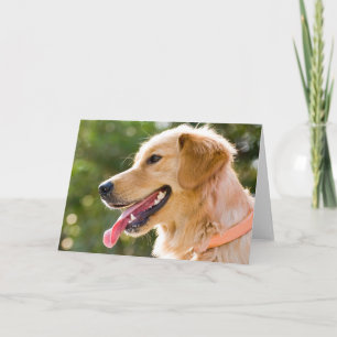 Golden Retriever Profile With Tongue Out Card