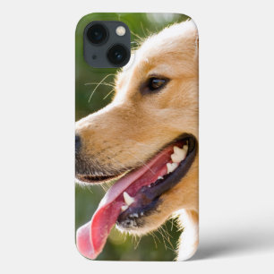 Golden Retriever Profile With Tongue Out iPhone 13 Case