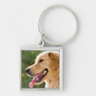 Golden Retriever Profile With Tongue Out Key Ring