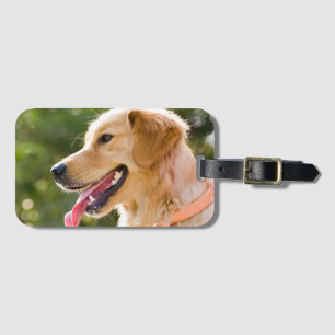 Golden Retriever Profile With Tongue Out Luggage Tag