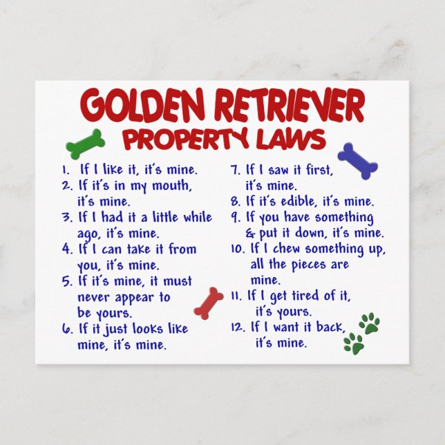 Golden Retriever Property Laws 2 Postcard (Front)