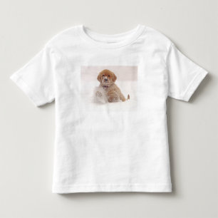 Golden Retriever Pup in Snow Toddler T-Shirt