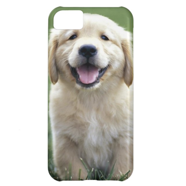 Golden Retriever Pup iPhone Case (Back)