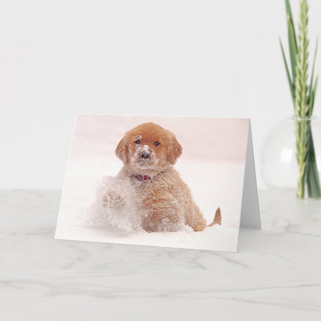 Golden Retriever Pup Playing in Snow Holiday Card (Front)