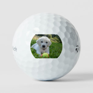golden-retriever-pup w toy golf balls