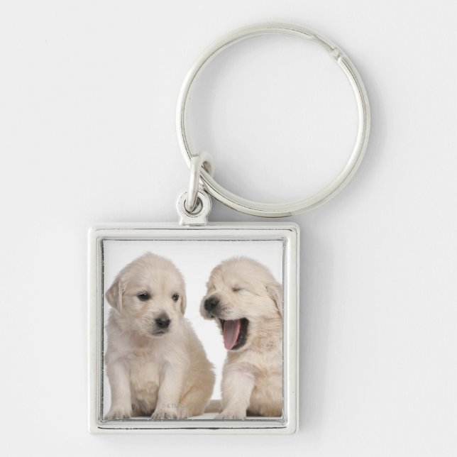 Golden Retriever puppies (4 weeks old) Key Ring (Front)