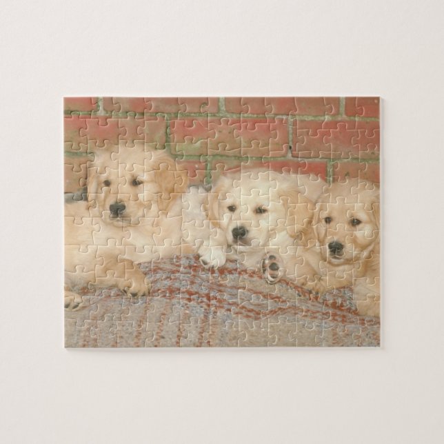 Golden Retriever Puppies Dog Puzzle (Horizontal)