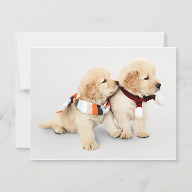 Golden retriever puppies holiday card (Front)