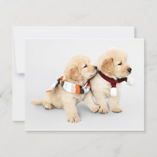Golden retriever puppies holiday card