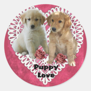 Golden Retriever Puppies Valentines Classic Round Sticker