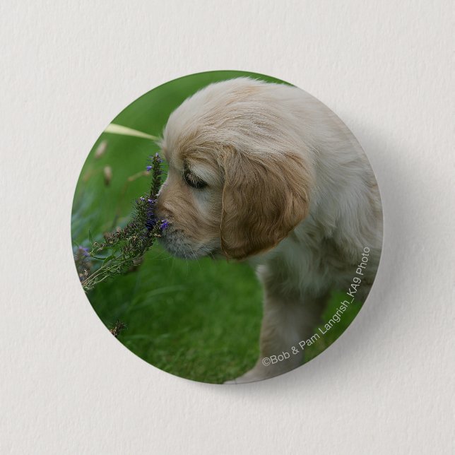 Golden Retriever Puppy 6 Cm Round Badge (Front)