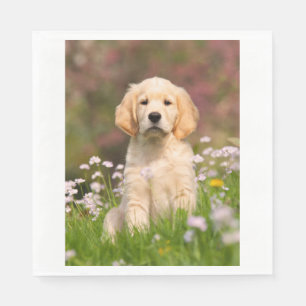 Golden Retriever puppy a cute Goldie Napkin