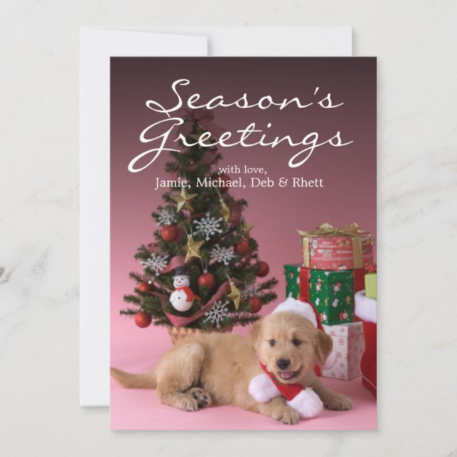 Golden Retriever Puppy and Christmas 3 Holiday Card (Front)