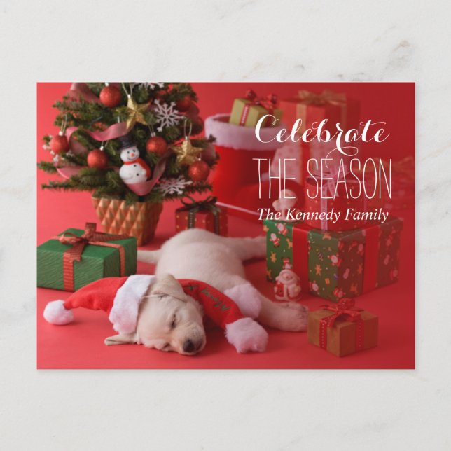 Golden Retriever Puppy and Christmas Holiday Postcard (Front)