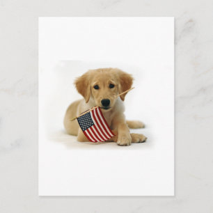 Golden Retriever Puppy and Flag Postcard