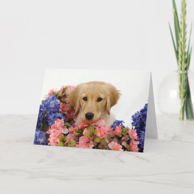 Golden Retriever Puppy and Flowers Card (Front)